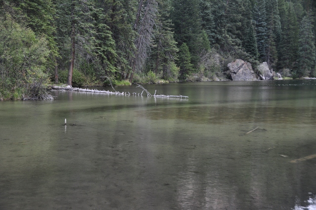 Lizard Lake